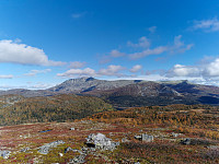 ovega_20211003_6159609f2488e.jpeg