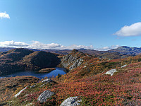 ovega_20211003_615960a28590e.jpeg