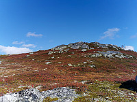 ovega_20211003_615960a3a4d65.jpeg