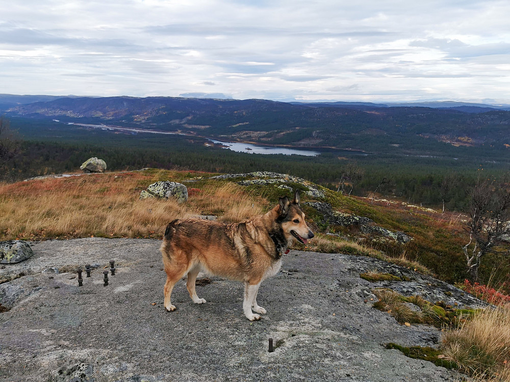 Bergsjøåsen