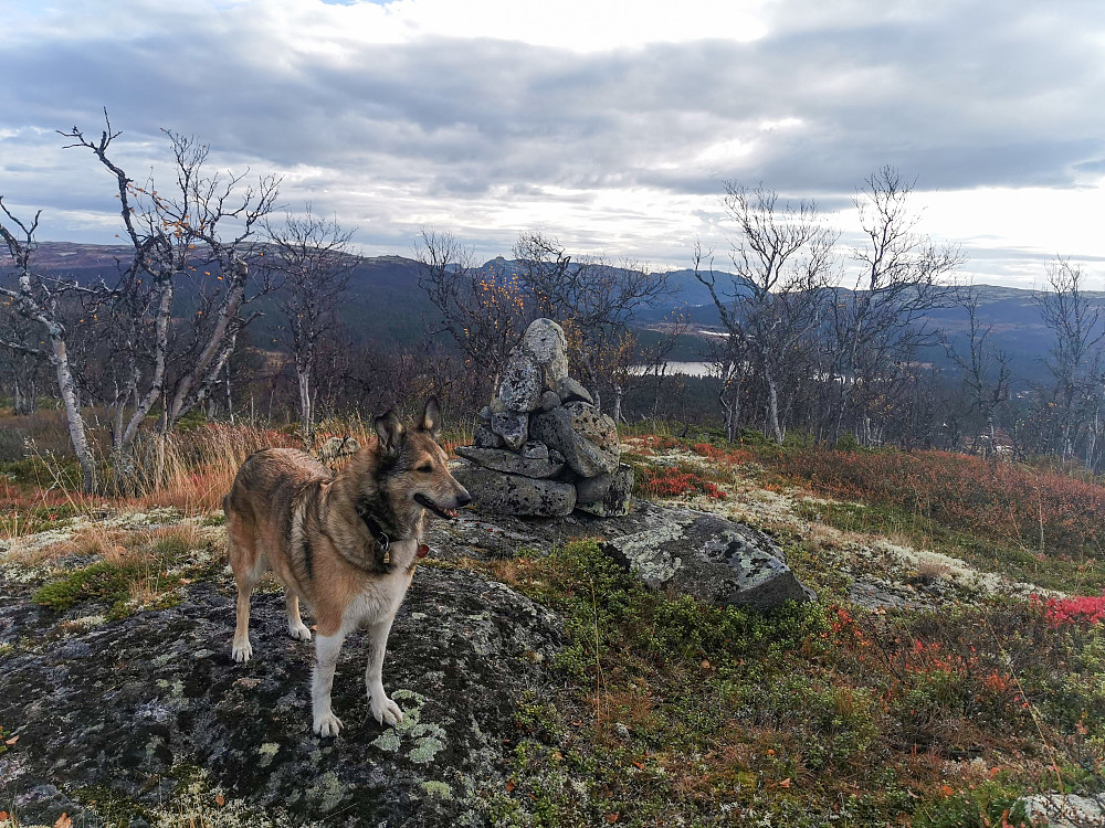 Bergsjøåsen Ø2