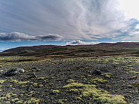 ovega_20211017_616c6bbcde101.jpeg