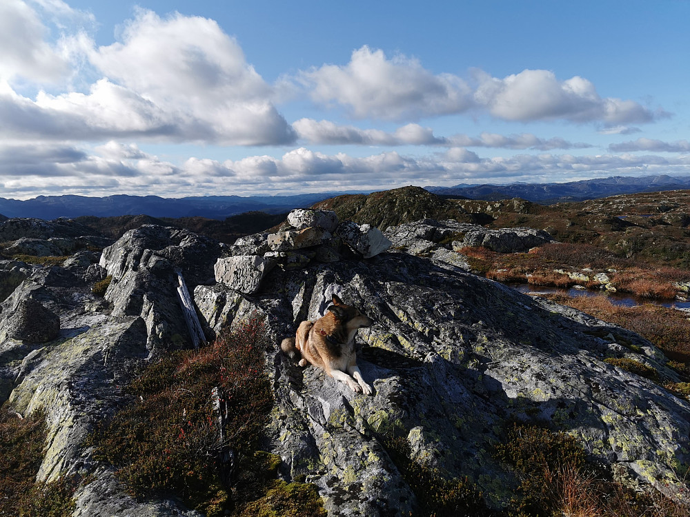 Rennevassnutan Øst
