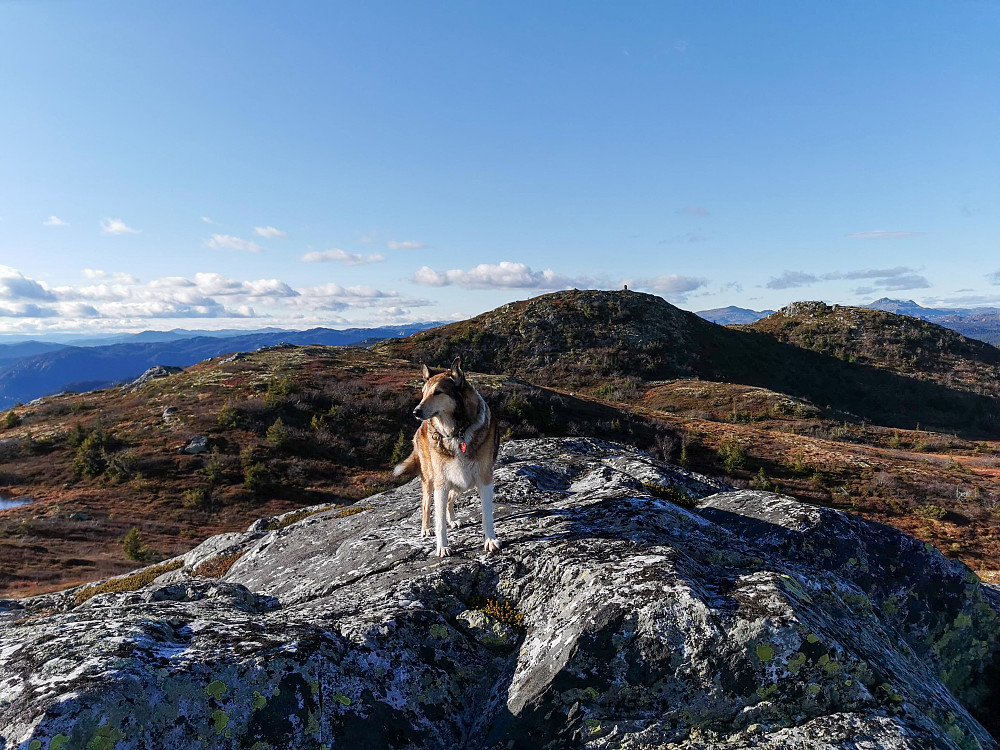 Rennevassvarden Sørøst