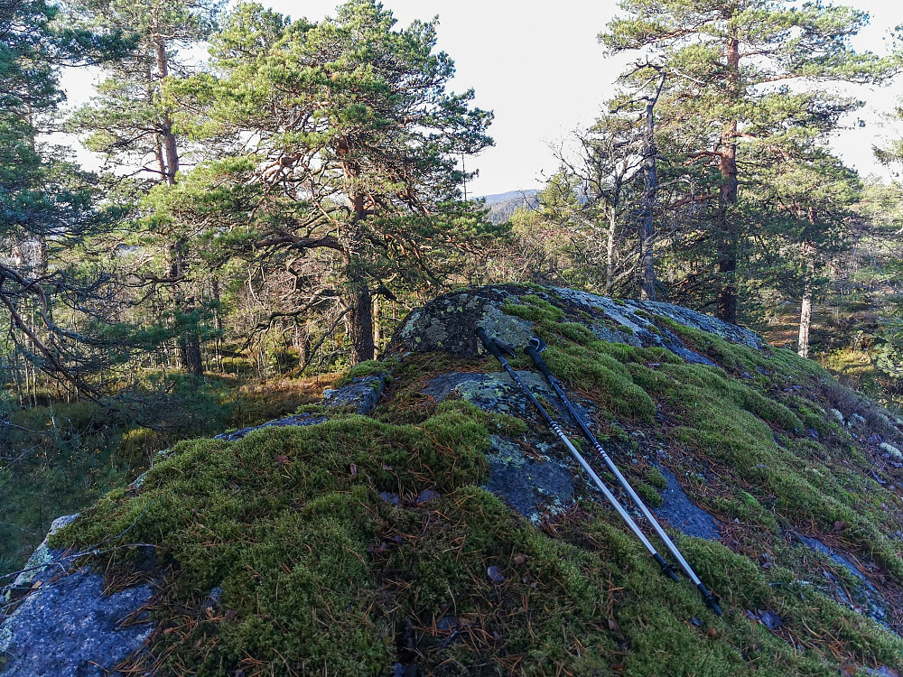 Nordkollen