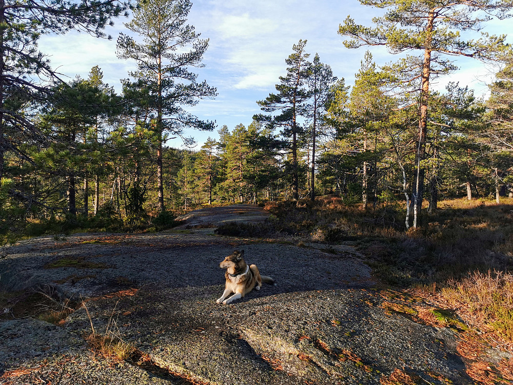 Bjørge-Slettås