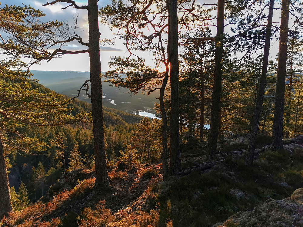 Utsikt fra Hova mot Tinnoset