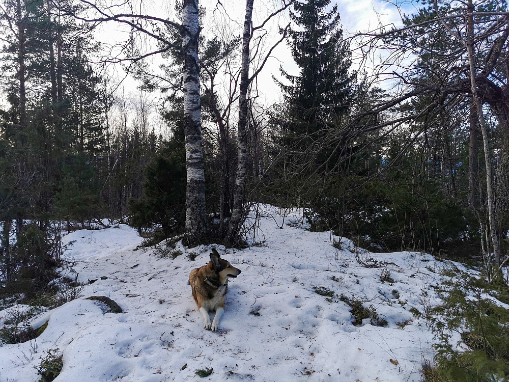 Høyeste punkt på Solbergfjellet
