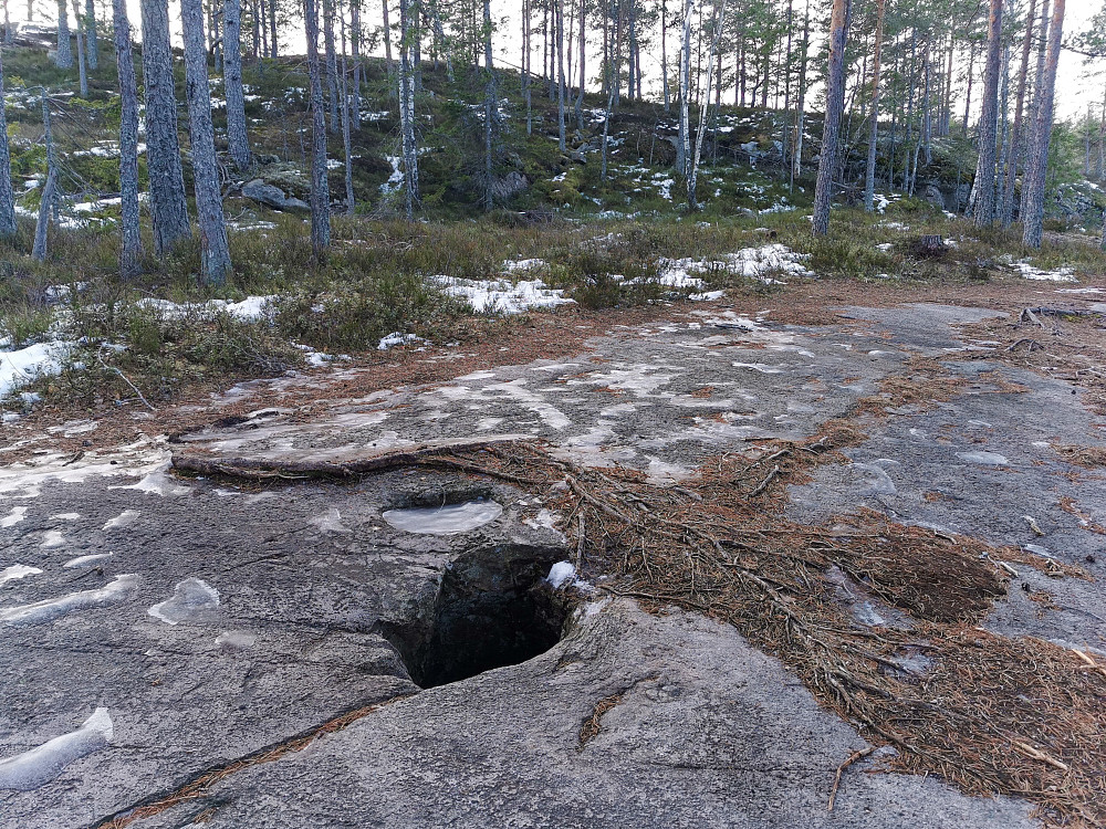 Drista Knabben