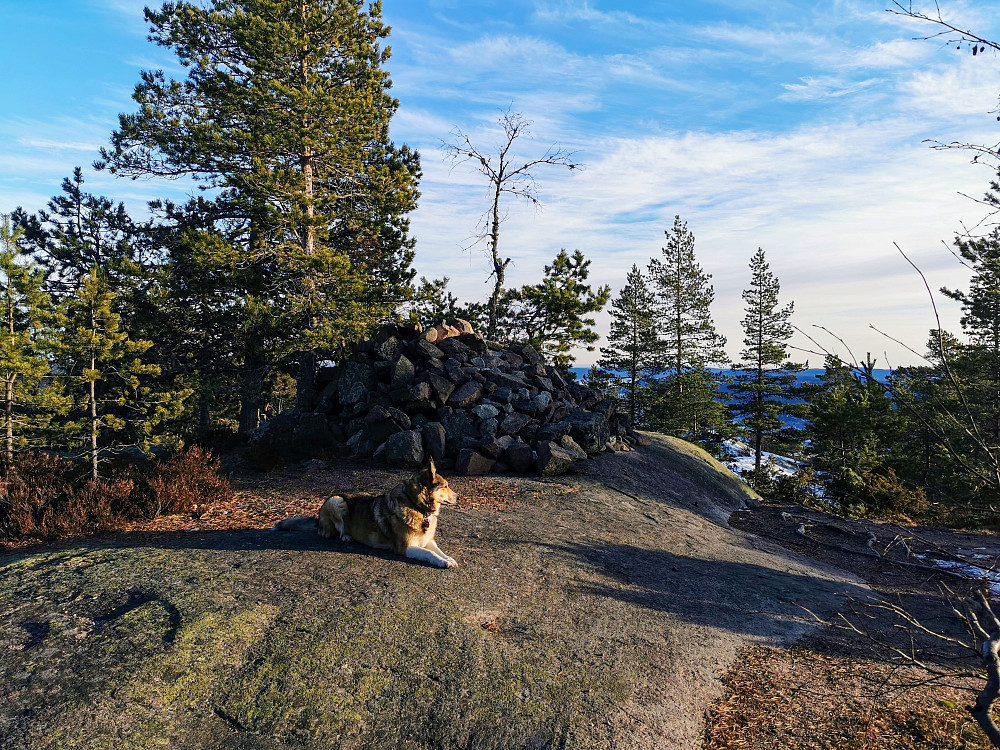 Solbergvarden