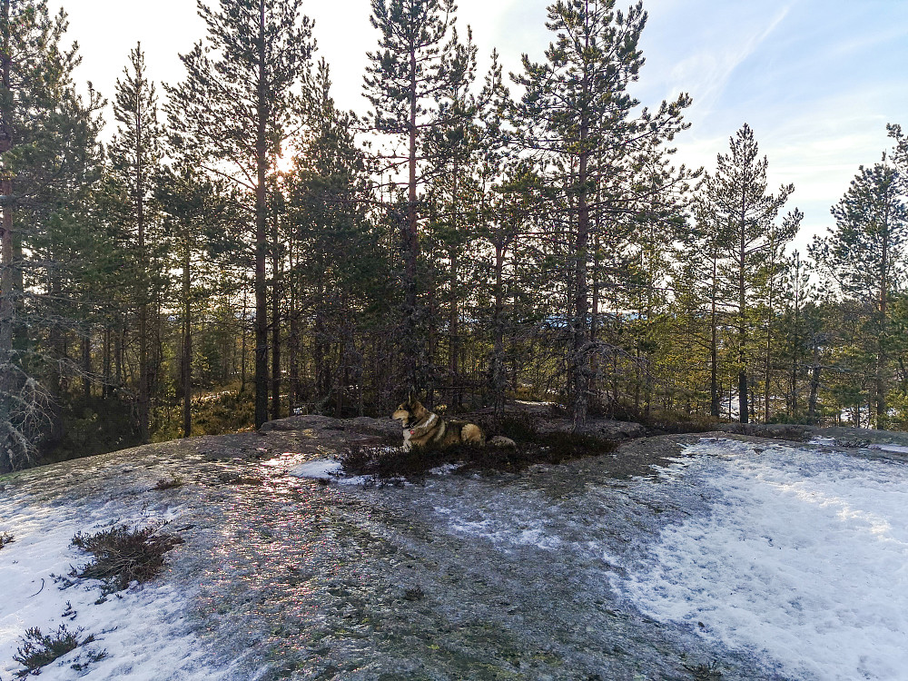 Tretjernåsen