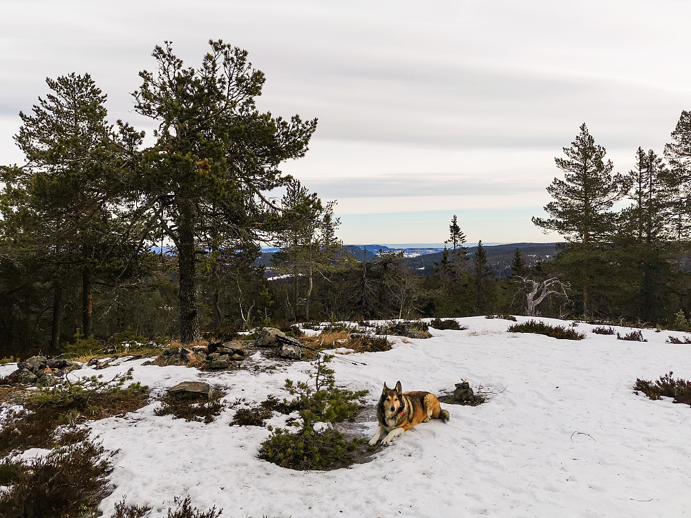 Topp punktet på Kampenhaug