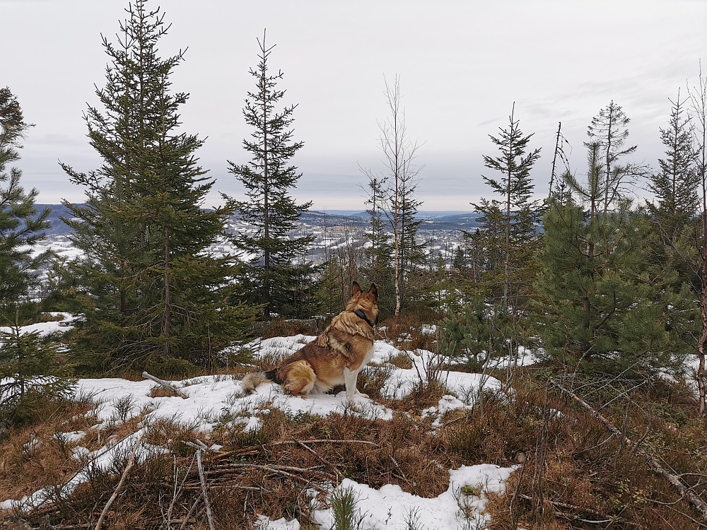 Askfjellet