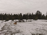 ovega_20220208_620280a54ccfe.jpeg