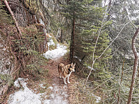 ovega_20220208_620280aa8ca61.jpeg