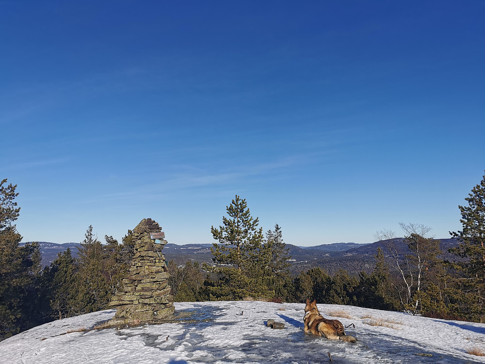 Svarteberget