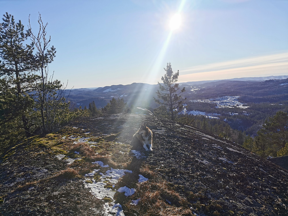 Svarteberget Nordvest