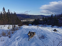 ovega_20220214_620a0bb1d1a68.jpeg