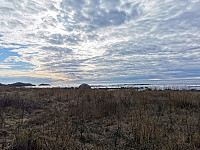 ovega_20220222_6215346a311d3.jpeg
