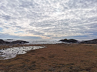 ovega_20220222_6215346b5269c.jpeg