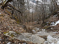 ovega_20220301_621db7b95a9d3.jpeg