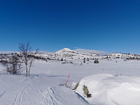 ovega_20220303_6220543677c92.jpeg