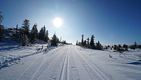 ovega_20220312_622cebce896f4.jpeg