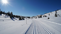 ovega_20220312_622cebd22f6a6.jpeg