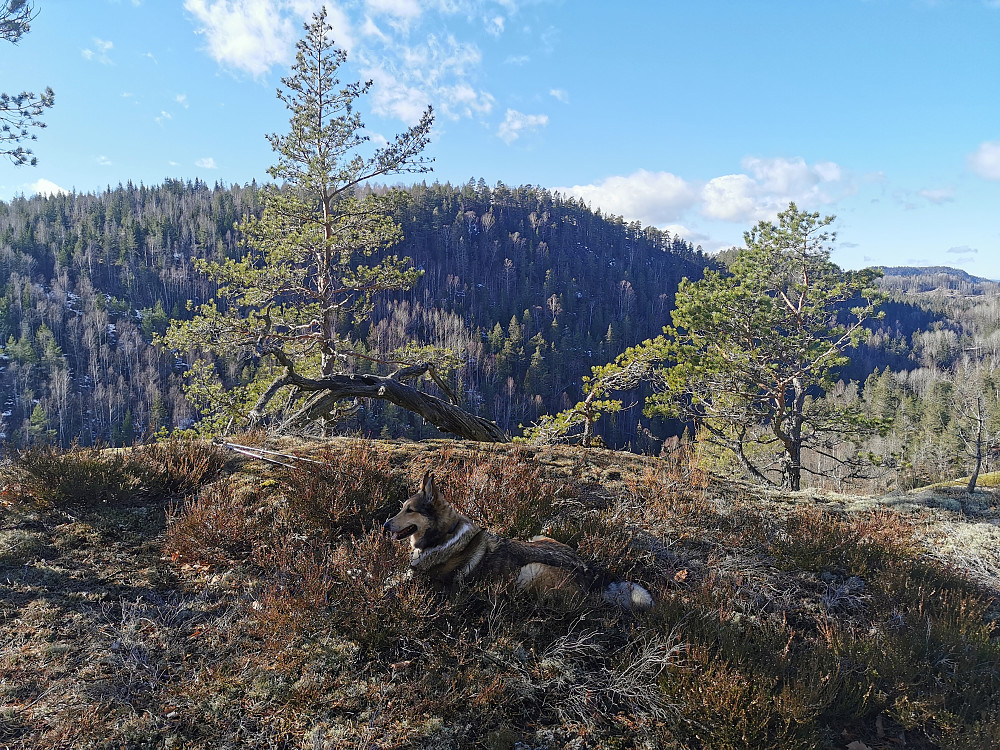 Rogndalsåsen med utsikt til Tømmeråsen