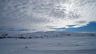 ovega_20220320_6236c37143955.jpeg