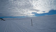 ovega_20220320_6236c37249338.jpeg