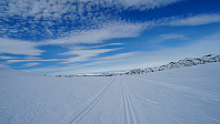 ovega_20220320_6236c373696ca.jpeg
