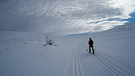 ovega_20220320_6236c37573a93.jpeg