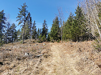 ovega_20220422_62623dceb8b24.jpeg