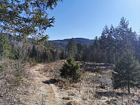 ovega_20220422_62623dd234ebc.jpeg