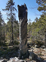 ovega_20220422_62623dd52e176.jpeg
