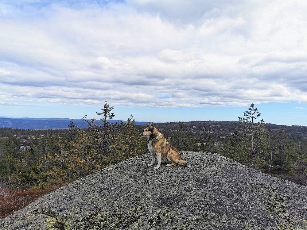 Stølefjellet