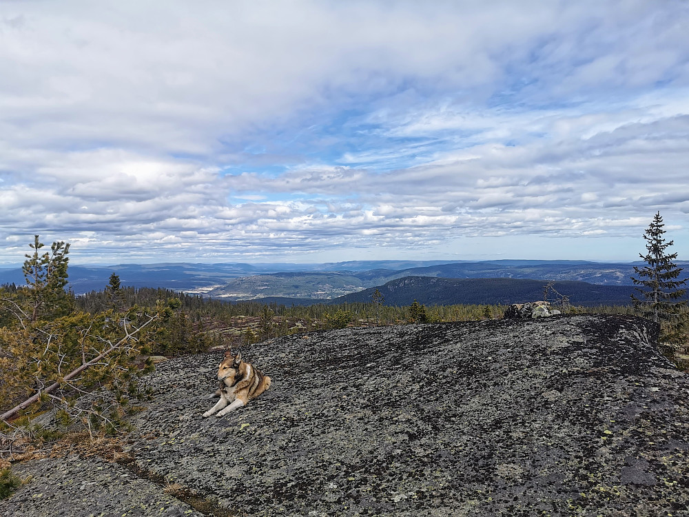 Stølefjellet Nord