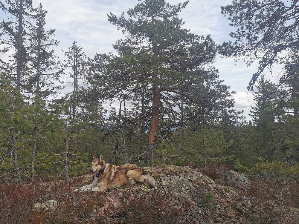 Kleppanfjell Sør