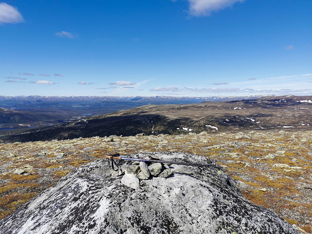 Rustnuten