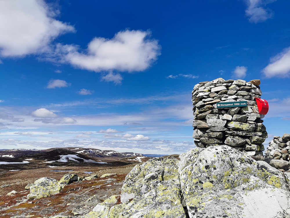 Storegrønut Sørøst