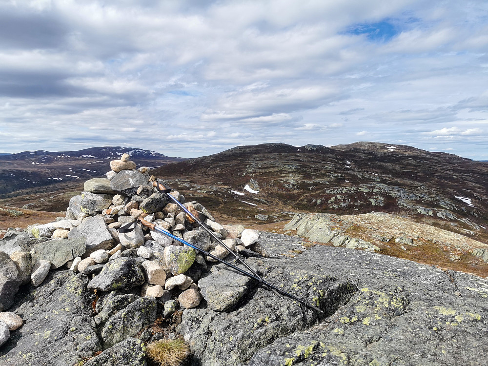 Tjønnegrønuten
