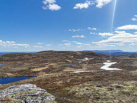 ovega_20220608_62a0446b71700.jpeg