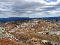 ovega_20220608_62a04479e07fa.jpeg