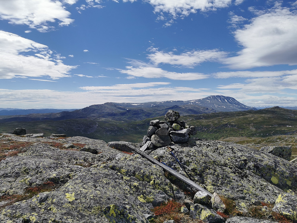 Skårånuten