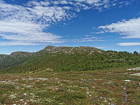 ovega_20220624_62b586a8622a6.jpeg