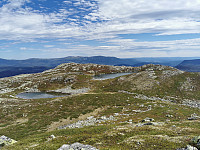 ovega_20220624_62b586ab0f94e.jpeg