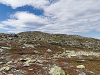 ovega_20220624_62b586adc85fa.jpeg