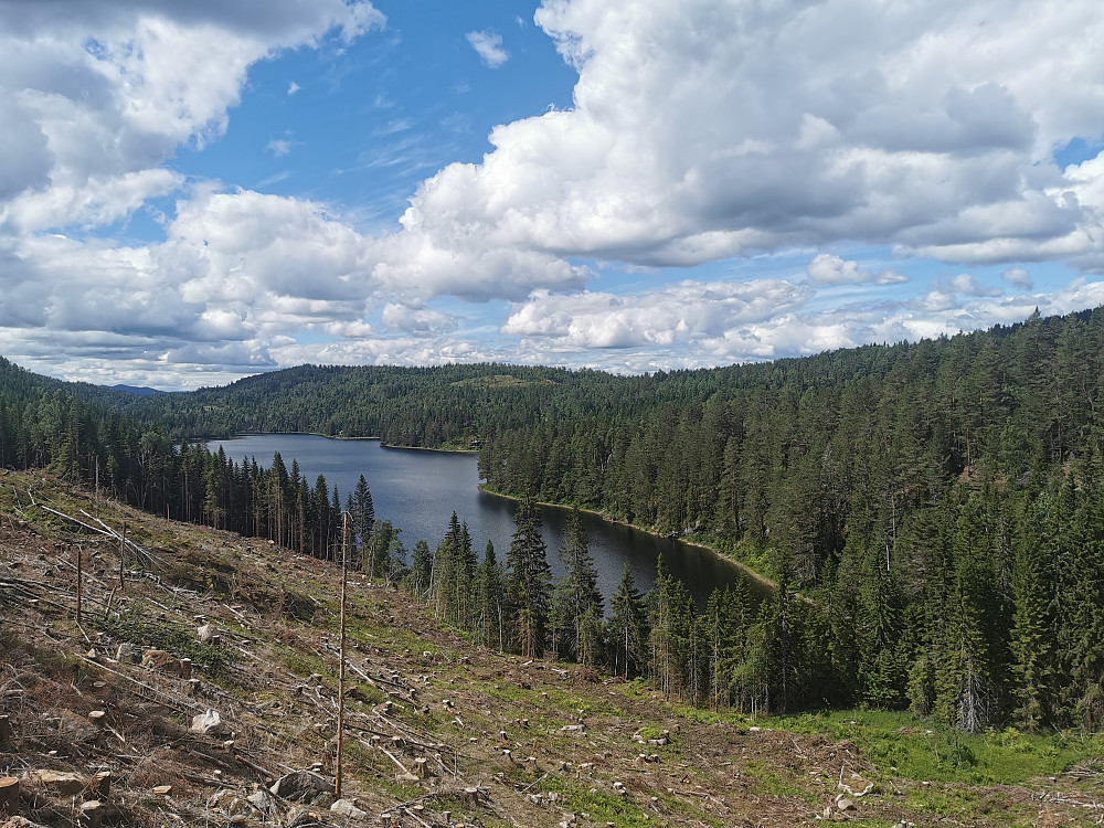 Råtevann