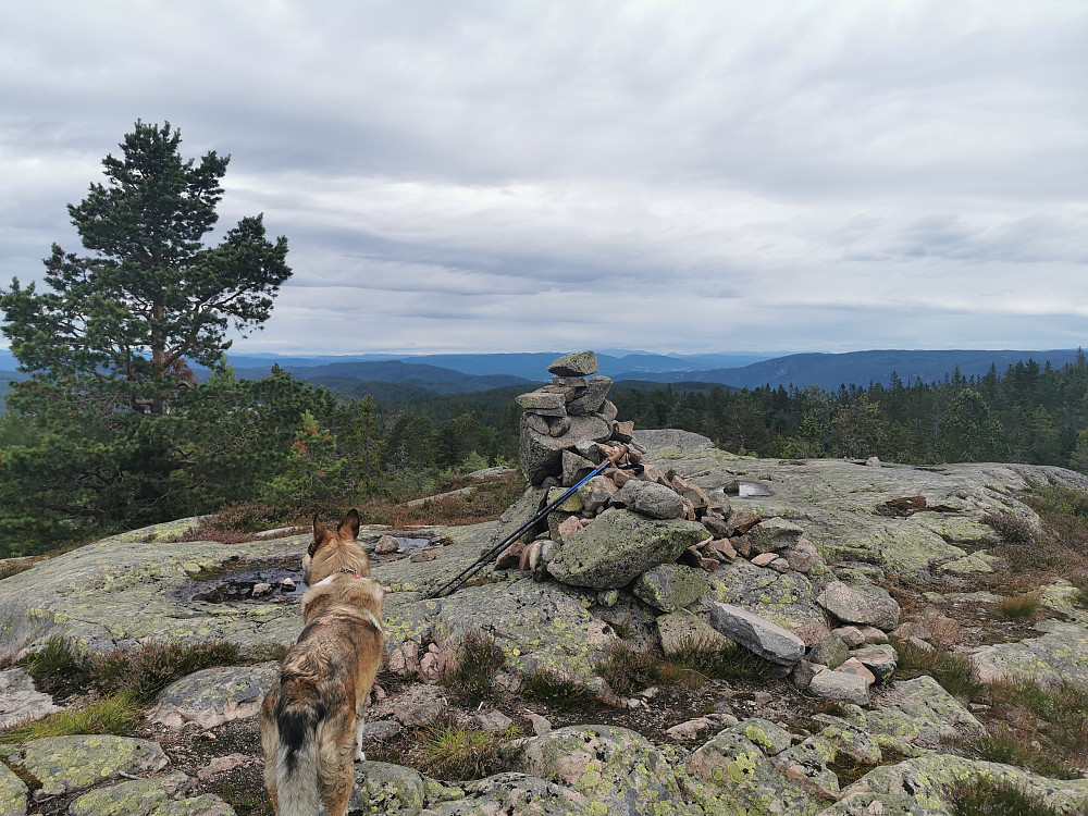 Skibergfjellet Sør